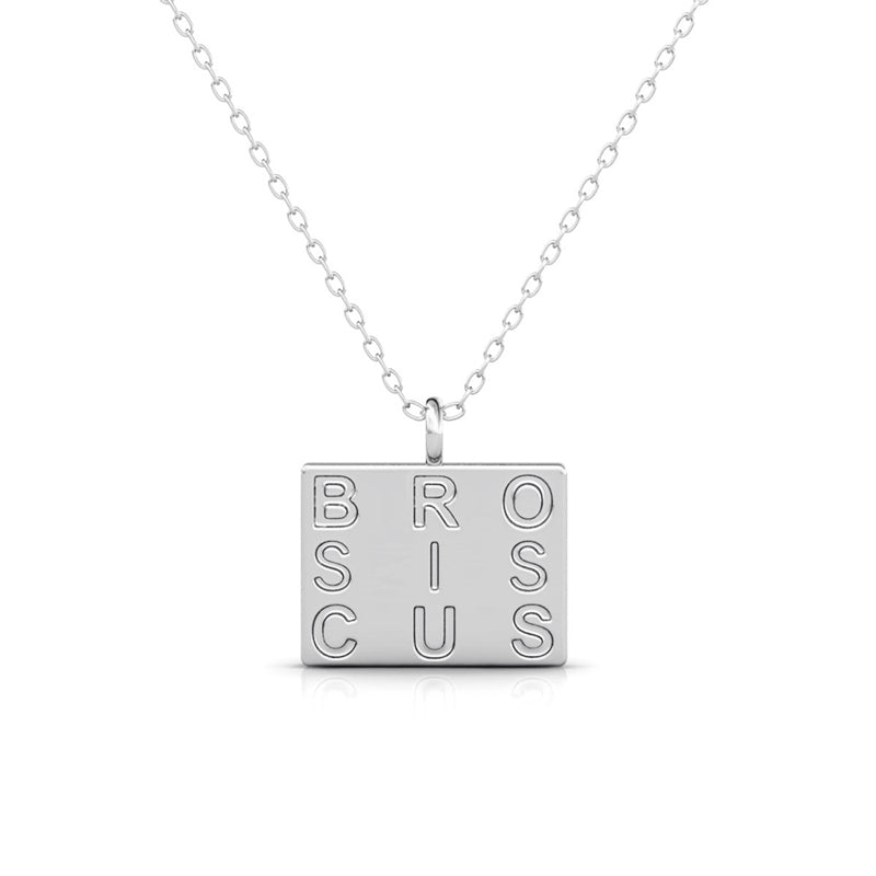 Silver Crystal Proud Outline Necklace